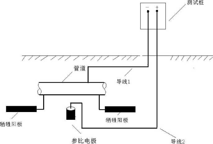 圖片3